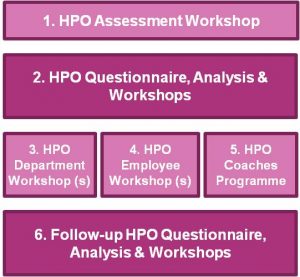 HPO Diagnose process (figure 2.2).png