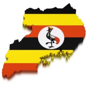 knowledge-management