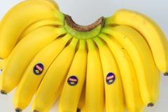 Dana Bananas