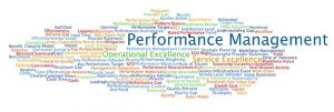 The Role of Performance Management in the High Performance Organisation