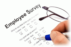 The employee survey -benefits, problems in practice, and the relation with the high performance organization