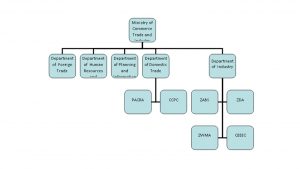 Figure 1 - The organizational structure of MCTI