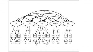 Figure 2 - Results of the confirmatory factor analysis for MCTI