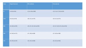 Table 2 - The final HPO scales for MCTI