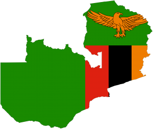 Creating high performance governmental organizations in Zambia